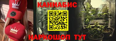индика Заводоуковск