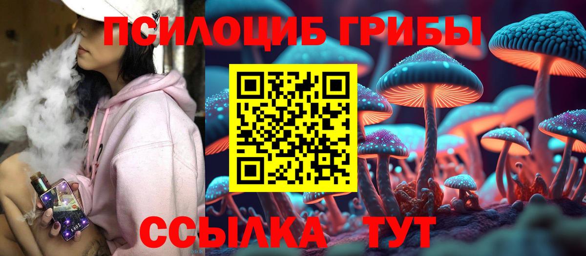 Псилоцибиновые грибы Cubensis Лобня