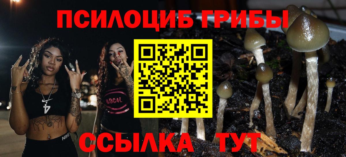 Псилоцибиновые грибы Magic Shrooms  Вход с VPN  Лобня 